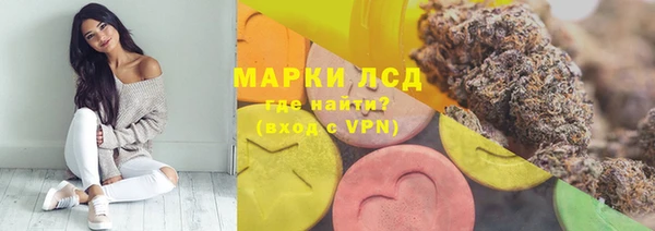 трава Аркадак