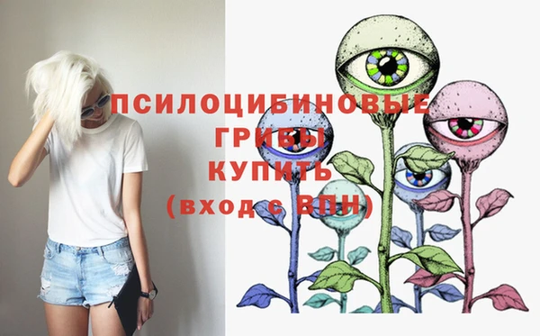 PSILOCYBIN Зеленодольск
