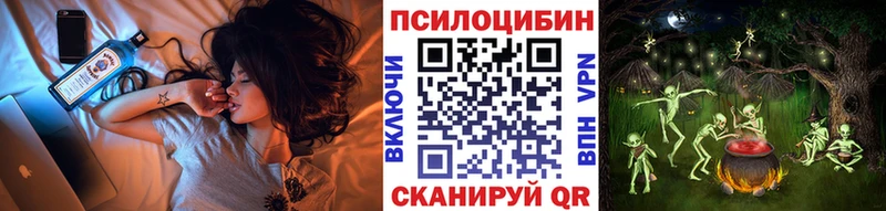 Псилоцибиновые грибы прущие грибы  Новая Ладога 